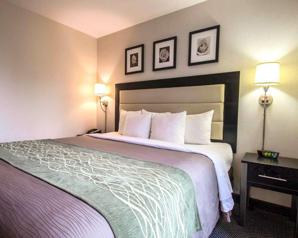 Comfort Inn Times Square South Area New York Rom bilde